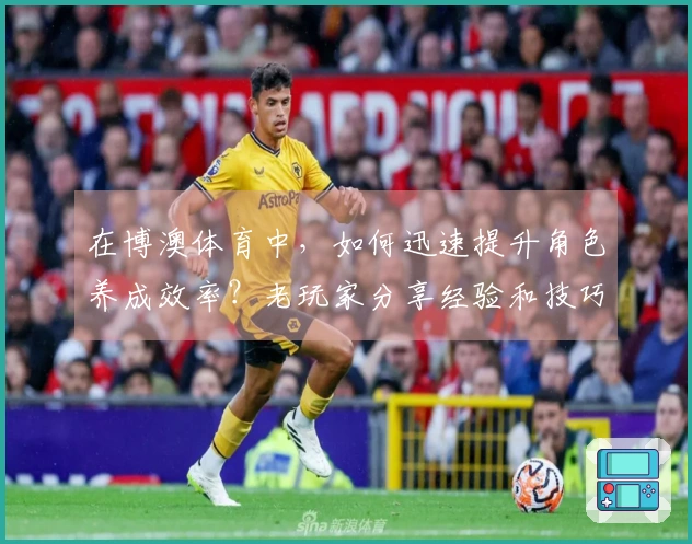 在博澳体育中，如何迅速提升角色养成效率？老玩家分享经验和技巧！