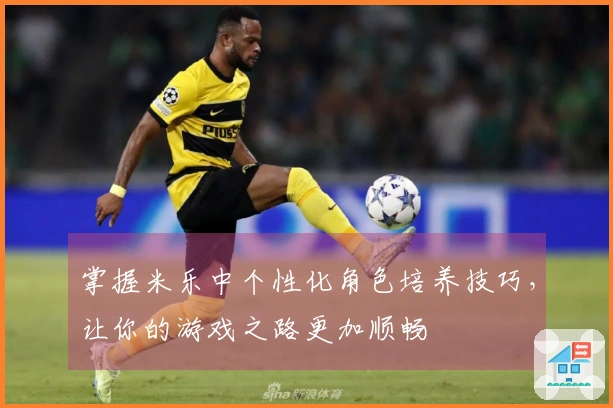 掌握米乐中个性化角色培养技巧，让你的游戏之路更加顺畅