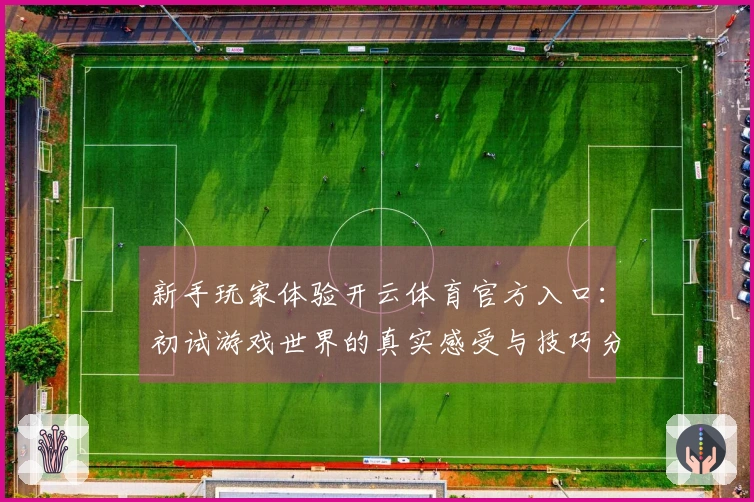 新手玩家体验开云体育官方入口：初试游戏世界的真实感受与技巧分享